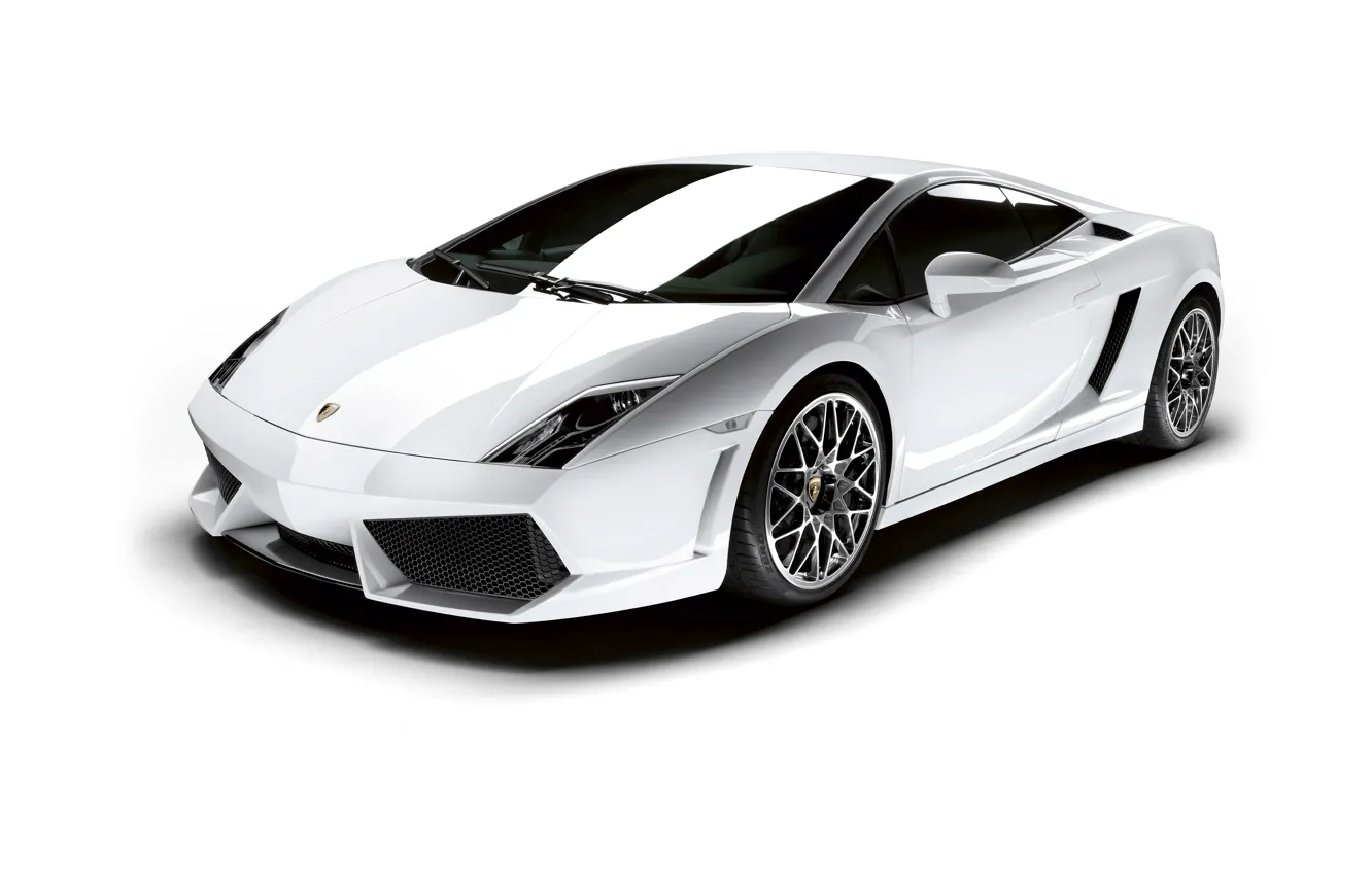 Wallpaper Lamborghini, white background, Gallardo, Lamborghini