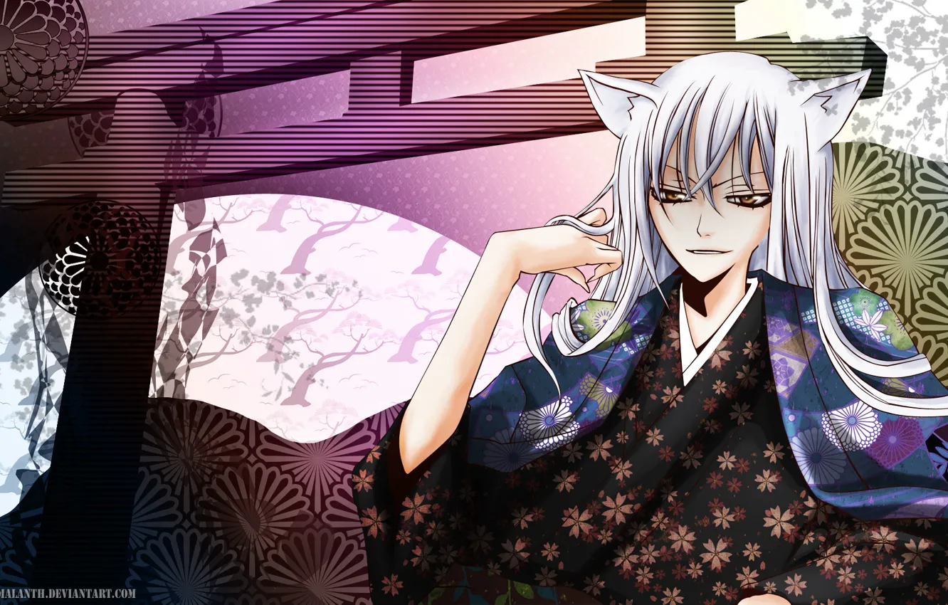 Photo wallpaper flowers, guy, kimono, ears, Kamisaa The Hajimemashita, Tomoe, Very nice God, the demon-Fox