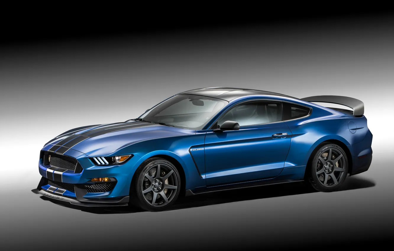 Photo wallpaper photo, Mustang, Ford, Shelby, Tuning, Blue, Car, 2015, GT350R, Metallic