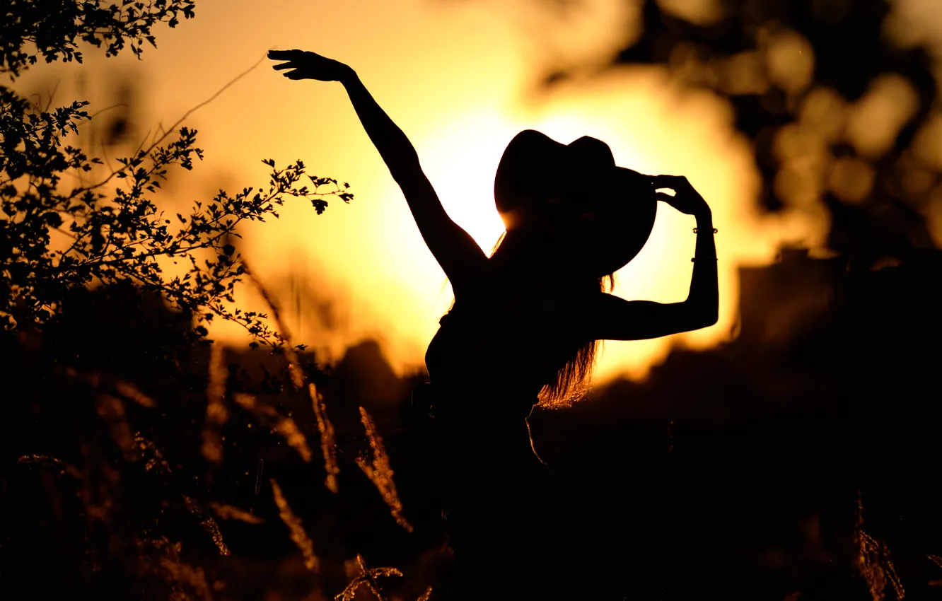 Photo wallpaper girl, dance, silhouette, Mariya, country 2