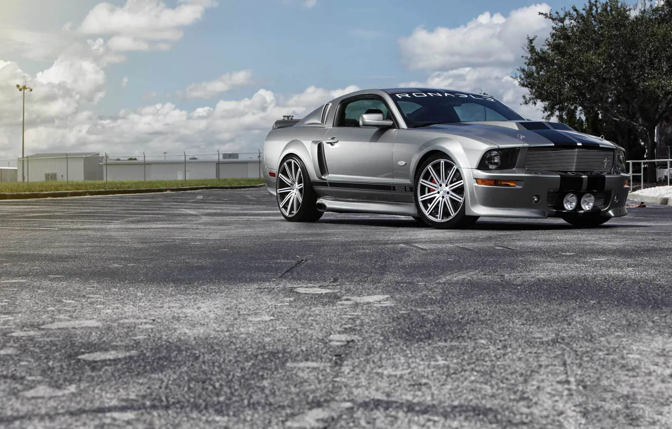 Photo wallpaper Mustang, Ford, muscle car, silvery, kit, 550R