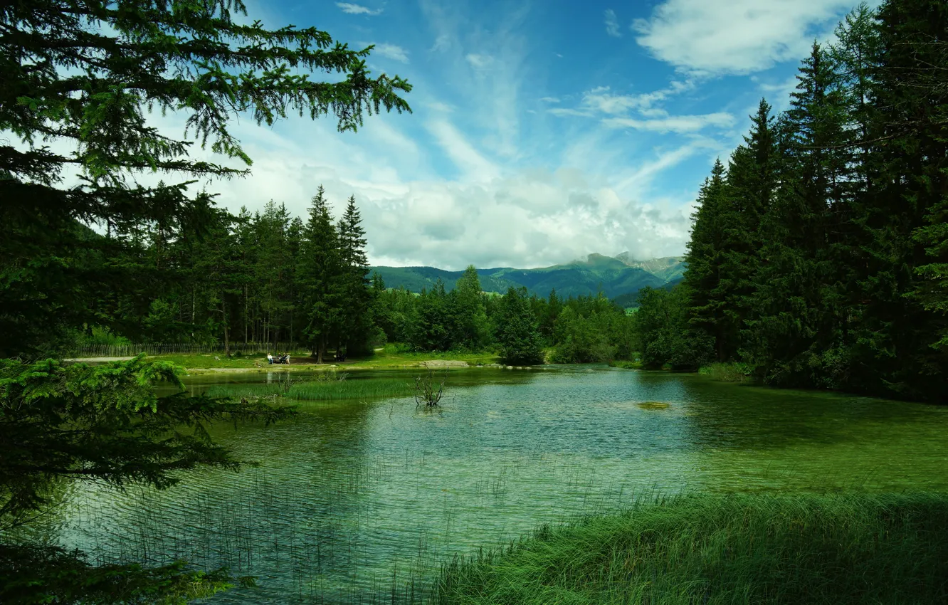 Photo wallpaper greens, forest, grass, trees, mountains, lake, Italy, Toblach Lake