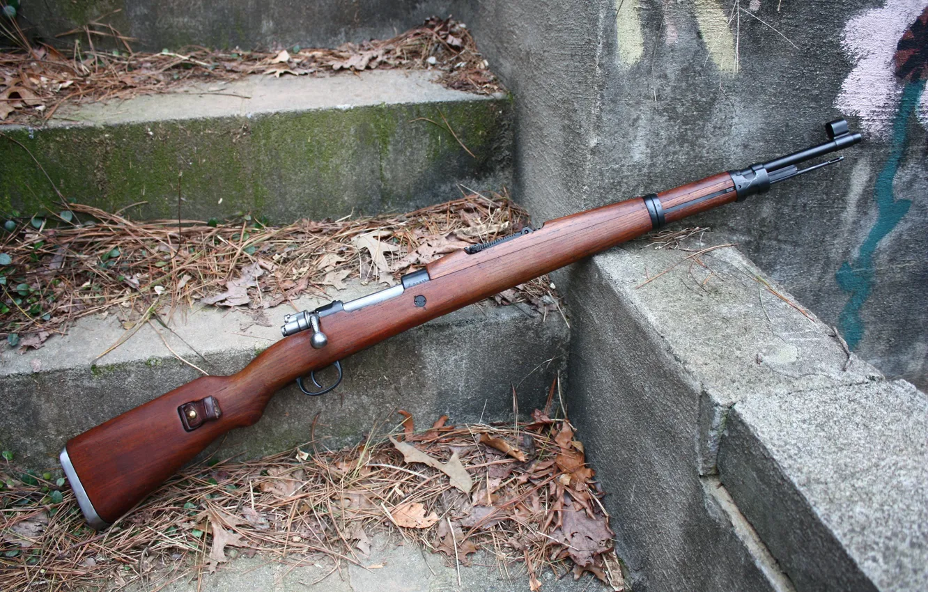 Photo wallpaper leaves, Rifle, rifle, m48 mauser