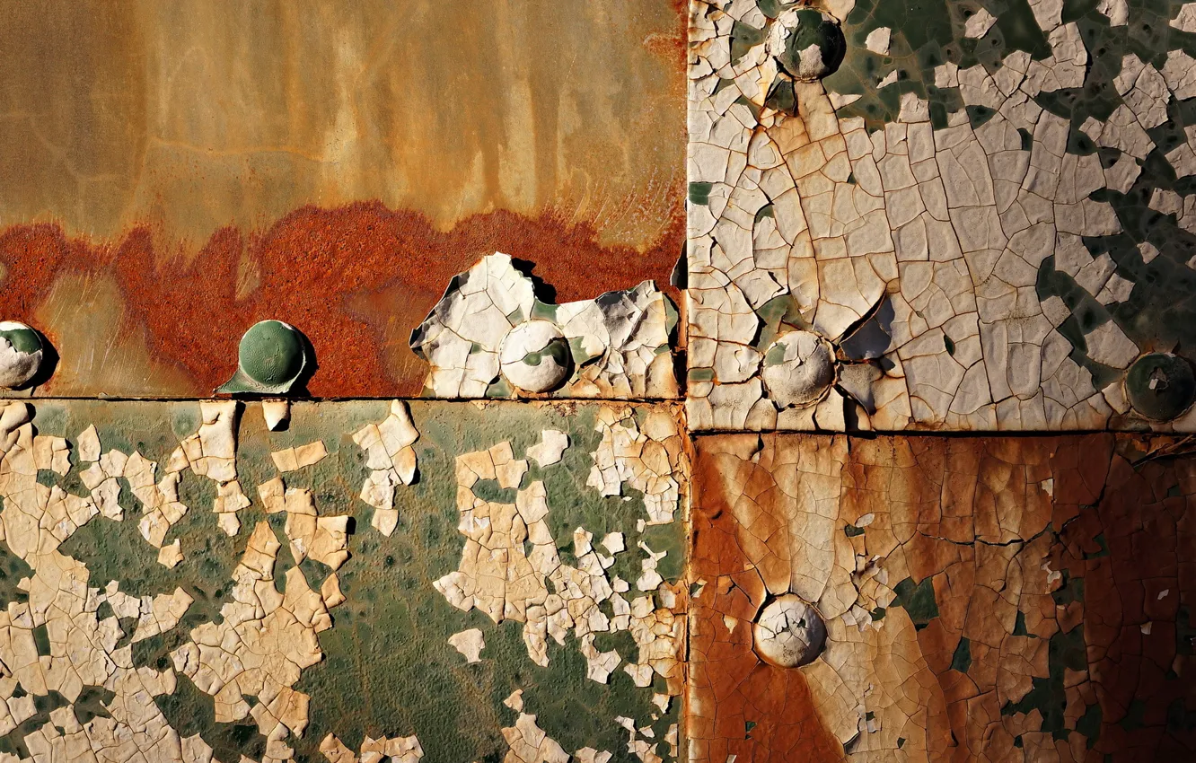Photo wallpaper wall, paint, texture