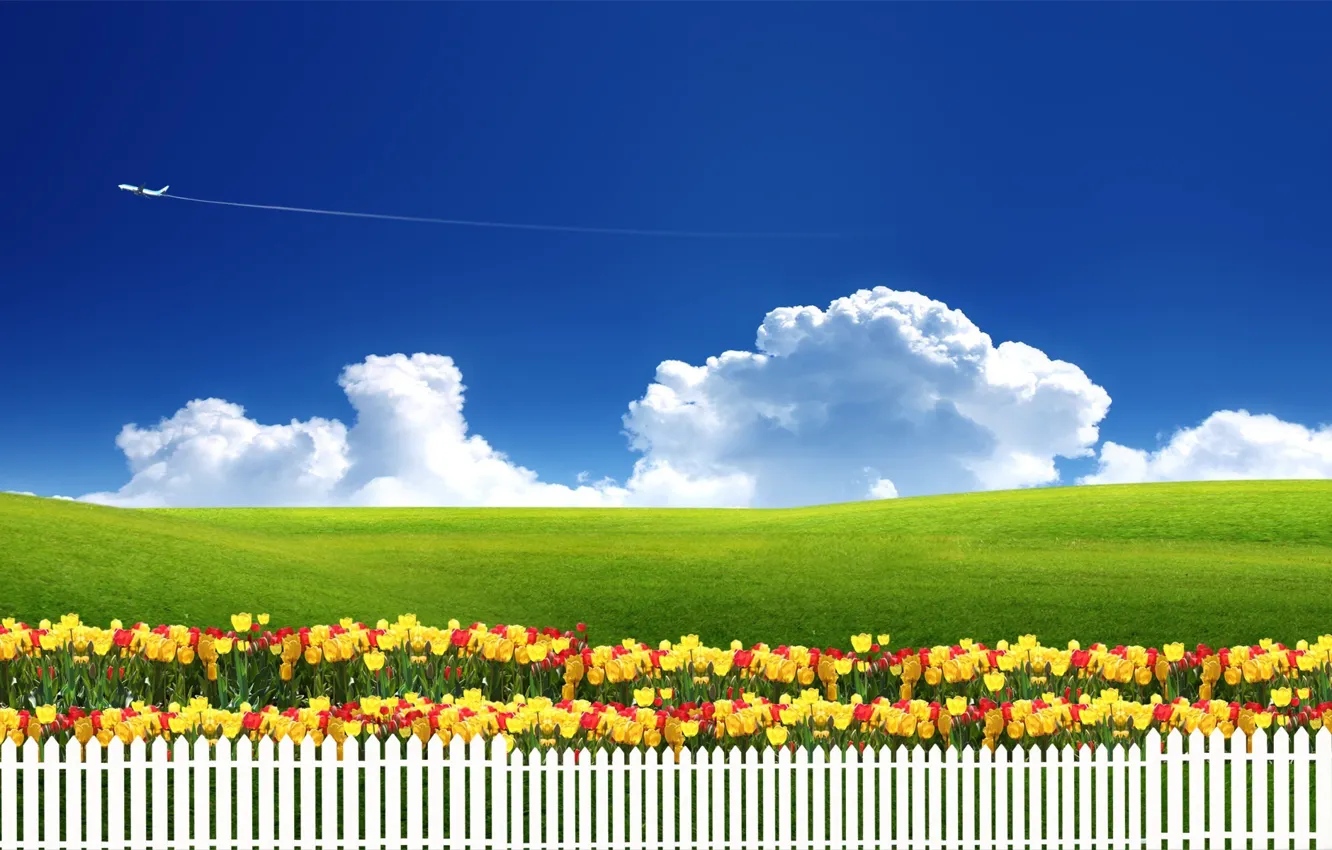 Photo wallpaper the sky, grass, clouds, flowers, nature, the plane, the fence, meadow, tulips