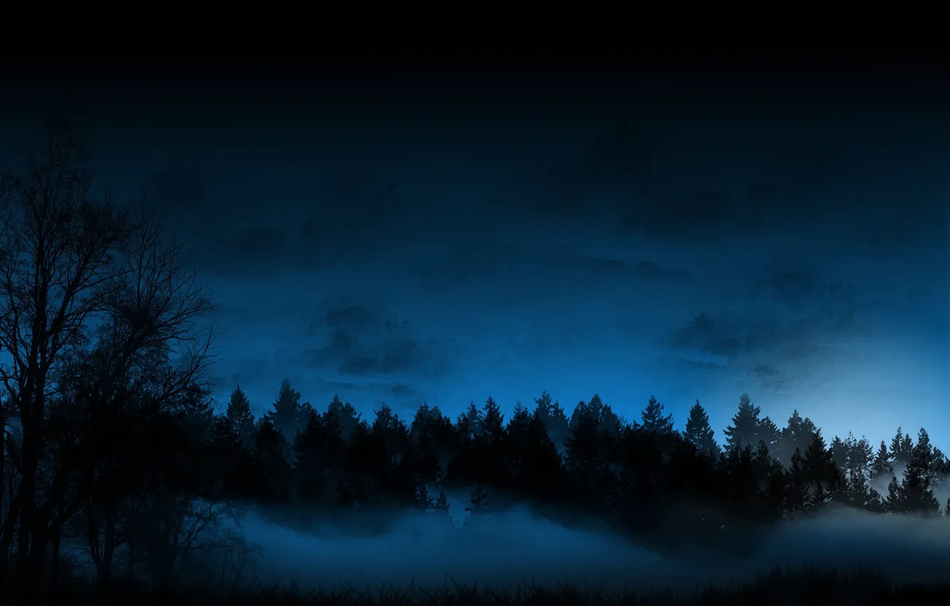 Wallpaper night, fog, Forest images for desktop, section природа - download