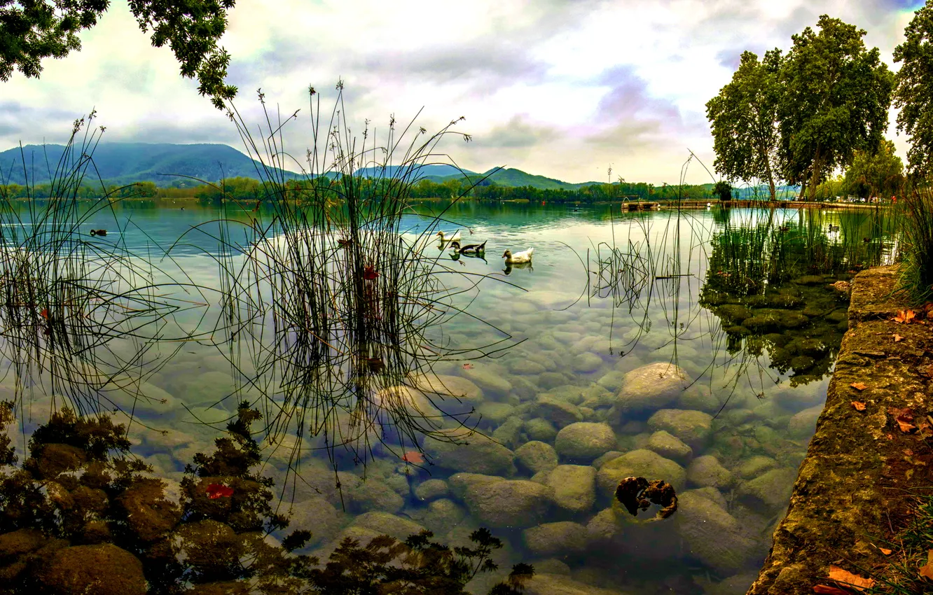 Photo wallpaper water, landscape, lake, Priroda