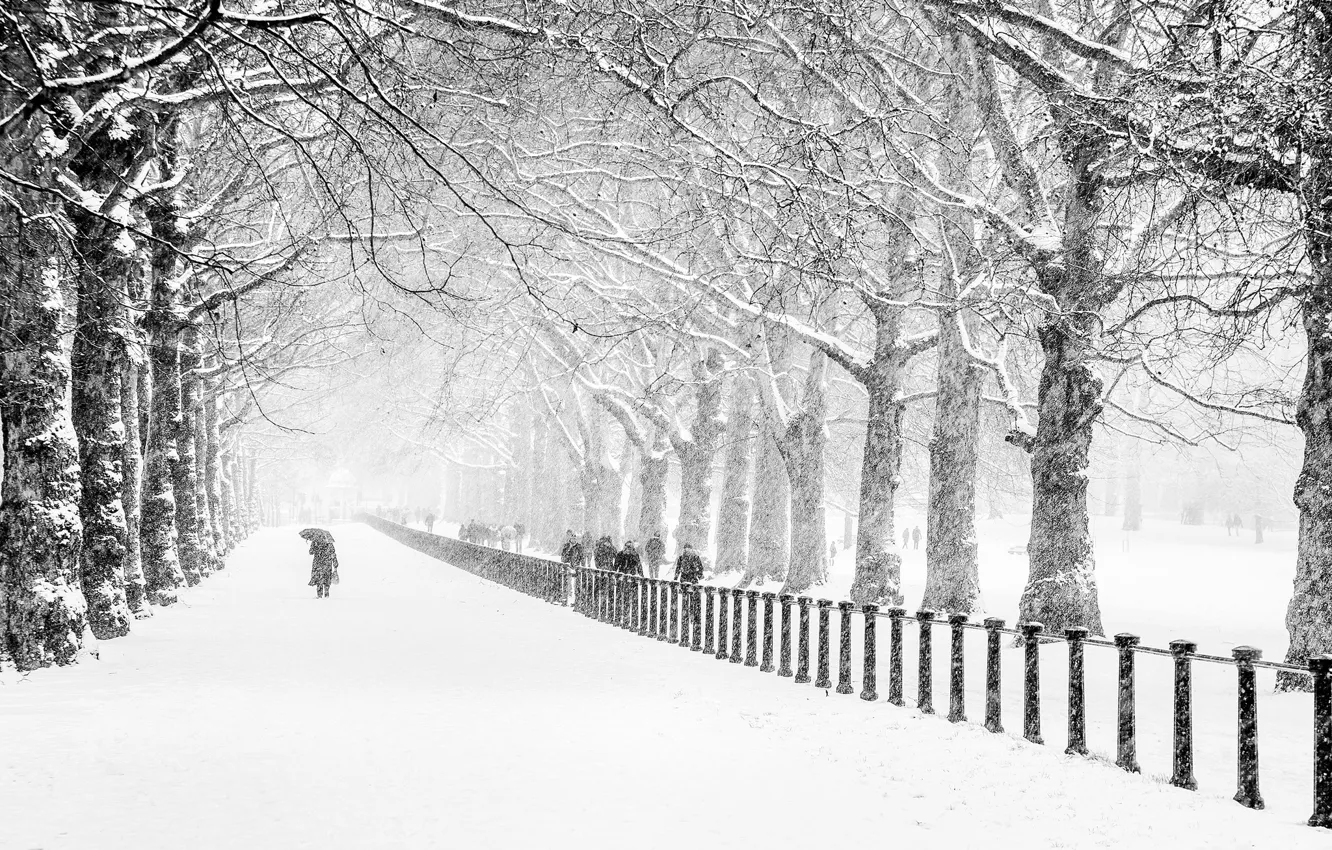 Wallpaper winter, road, snow, trees, the city, Park, people, London images  for desktop, section пейзажи - download