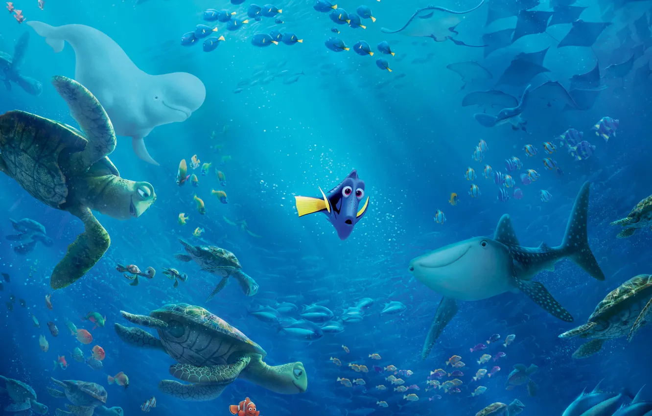 Wallpaper sea, fish, bubbles, the ocean, cartoon, fish, shark, kit,  underwater world, rays of light, turtles, Dori, Finding Dory, In finding  Dory images for desktop, section фильмы - download