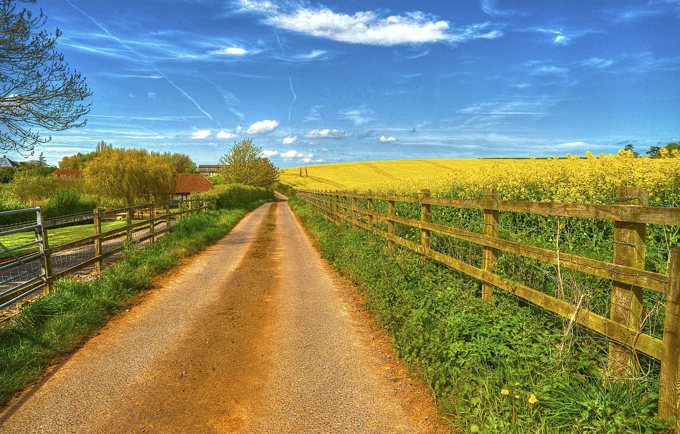 Photo wallpaper road, field, the sky, grass, clouds, the fence, home, flowering, rare