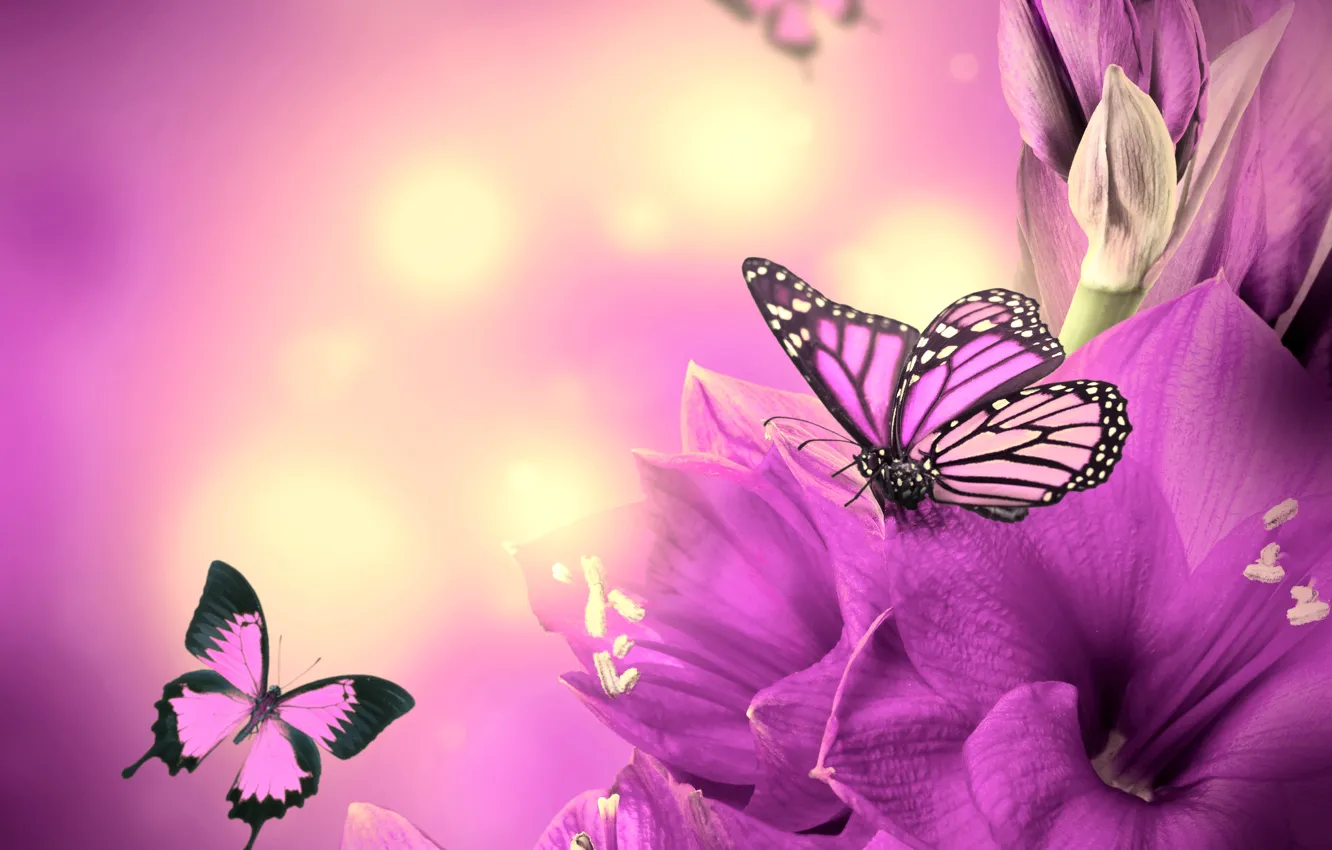 Photo wallpaper butterfly, flowers, flowers, purple, butterflies
