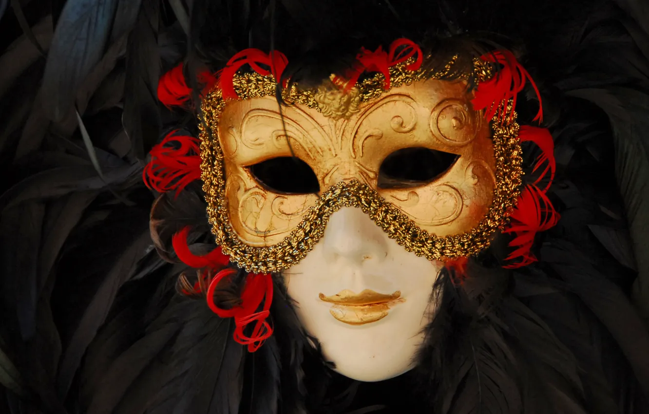 Photo wallpaper mask, carnival, Venice, masquerade, venice
