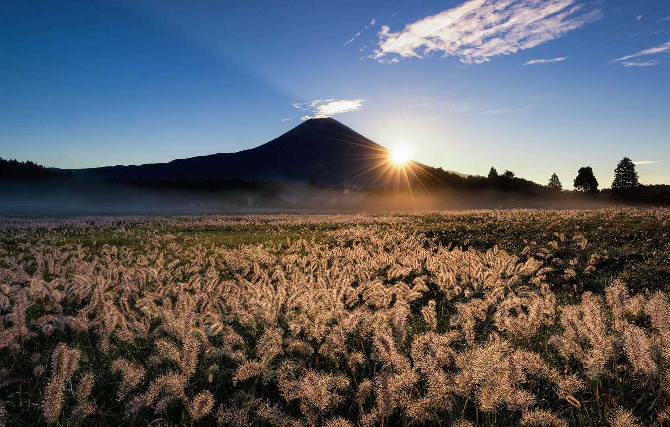 Photo wallpaper field, the sky, grass, the sun, rays, nature, mountain, the volcano, Japan, Fuji, ears, Fuji