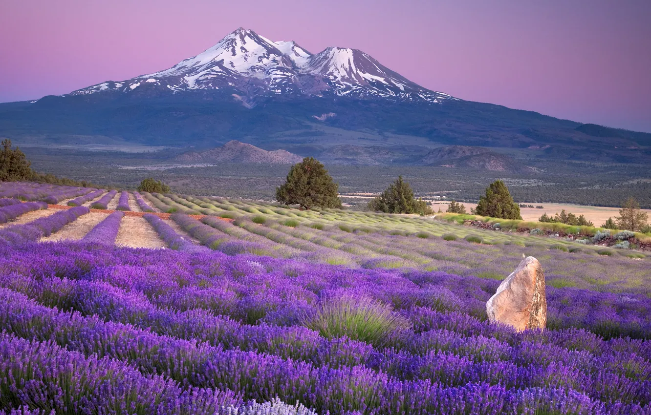 Photo wallpaper field, landscape, flowers, mountains, Nature, lavender