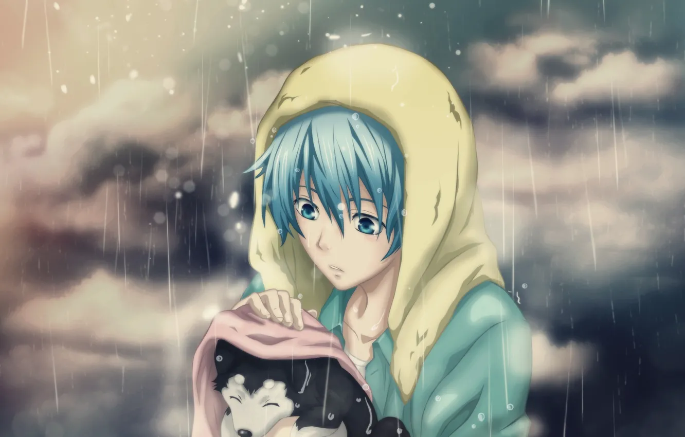Wallpaper sadness, rain, mood, dog, anime, puppy, guy, care images for  desktop, section арт - download